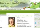 Best Practice Website: Hellmann-Webconsulting – Mit großen Sprüngen zur individuellen Web-Präsenz