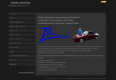 Best Practice Website: Twin Mobil – der Autopflegeservice, der nach Hause kommt